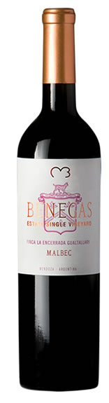 Benegas Single Vineyard Malbec